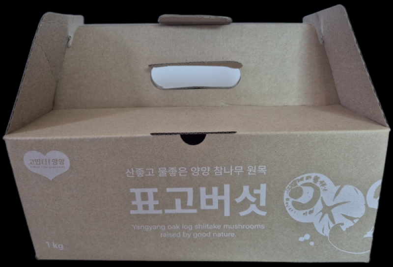 강원더몰,유니버섯스튜디오 생표고 1kg